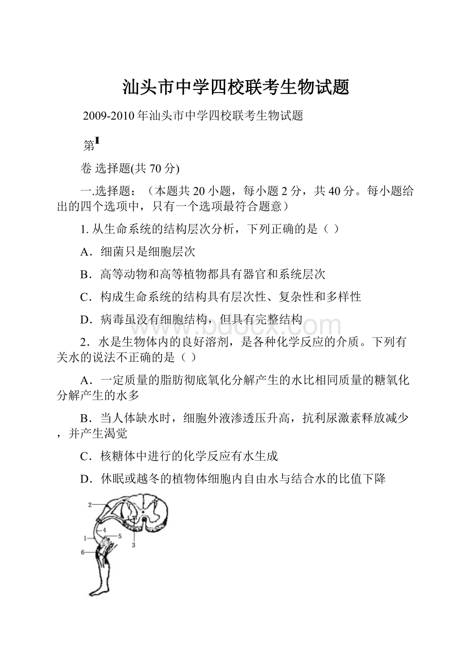 汕头市中学四校联考生物试题Word下载.docx_第1页