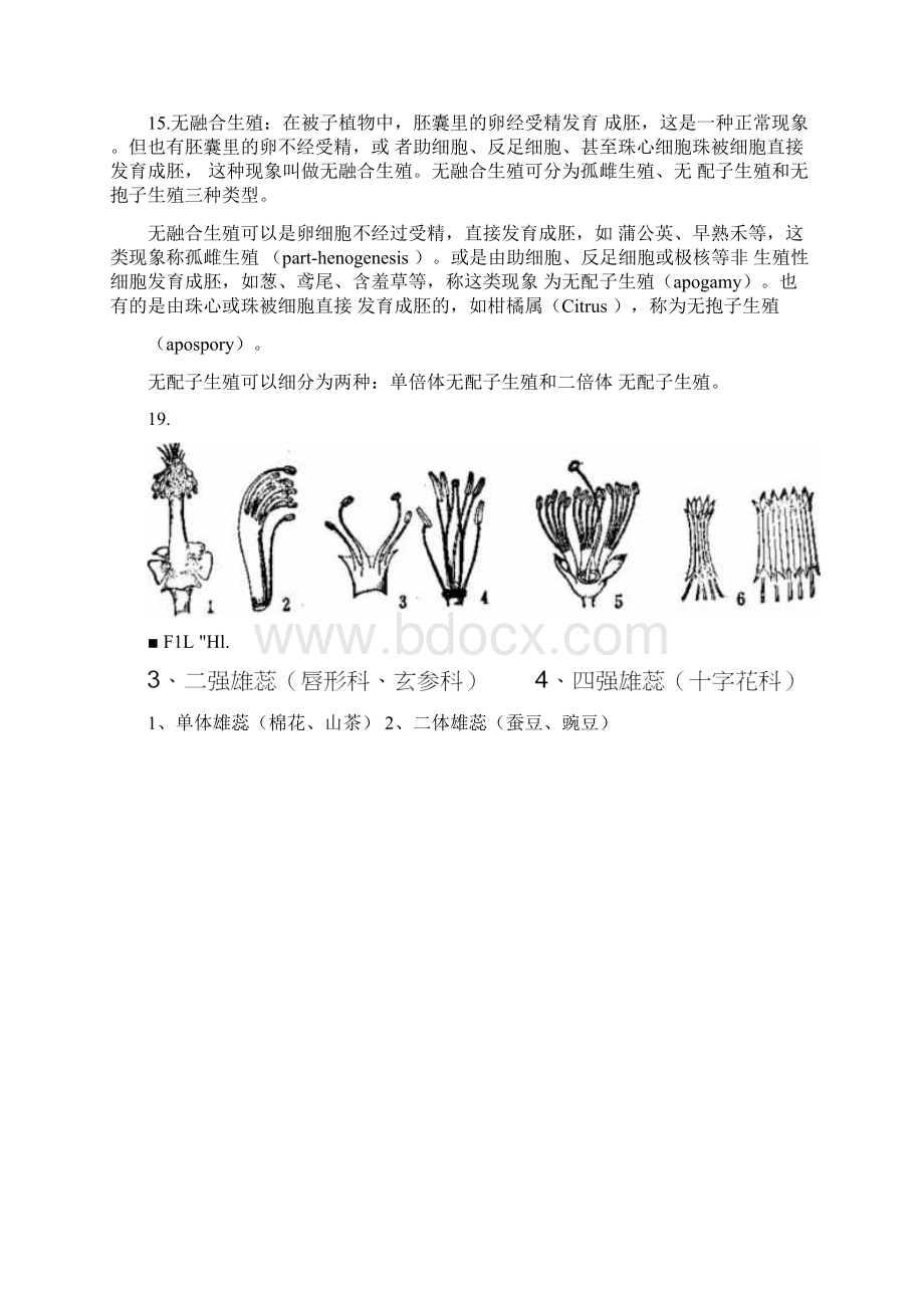 生物奥赛选拔试题解析Word文档格式.docx_第3页