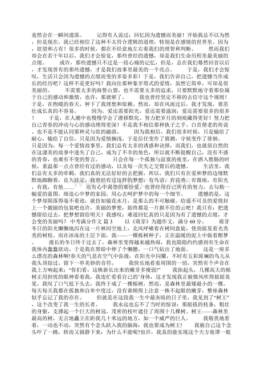 中考满分作文锦集十篇.docx_第2页