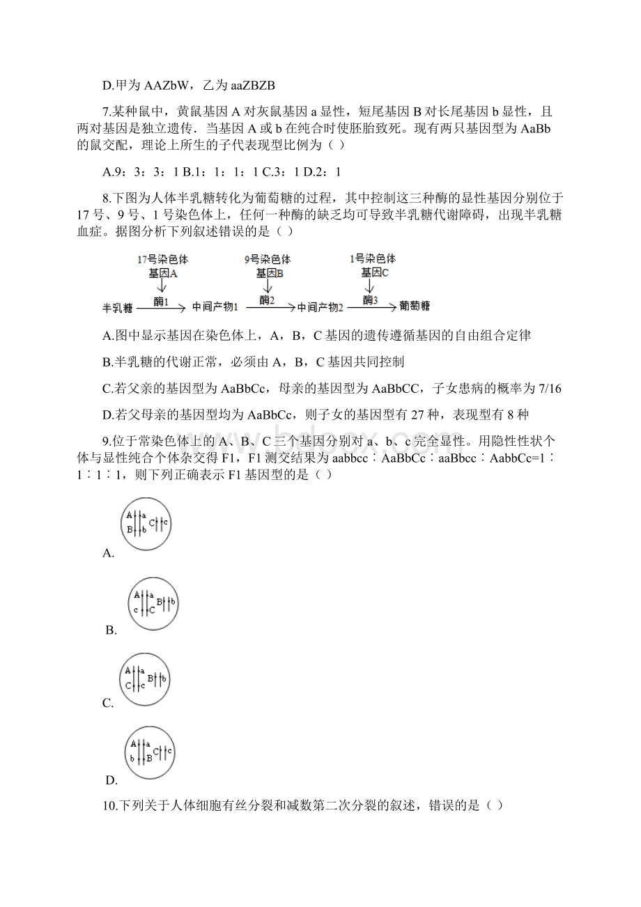 人教版学年度上学期高二年级生物期末测试题及答案含两套题.docx_第3页