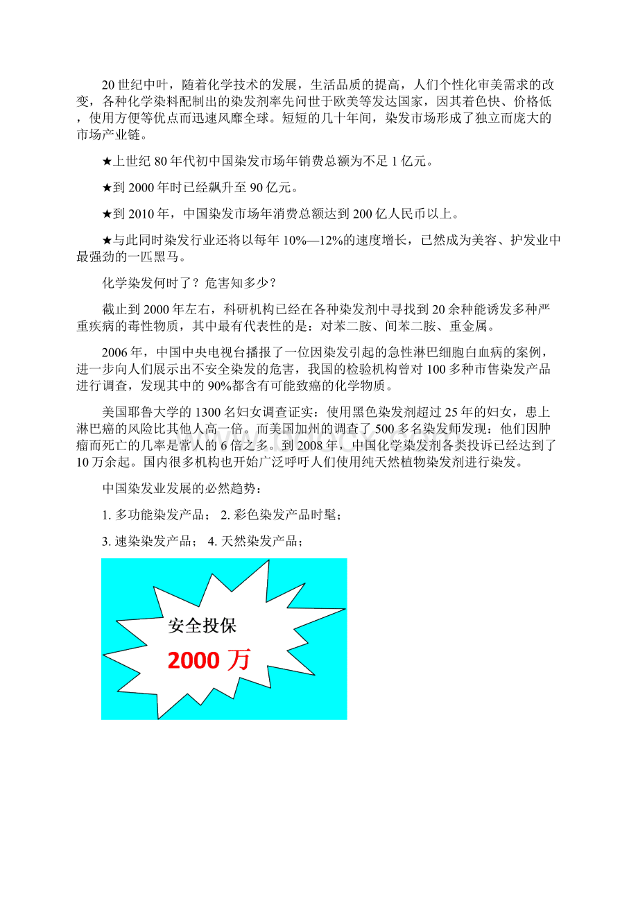 最新XX品牌艳彩染发产品上市推广营销策划方案.docx_第2页
