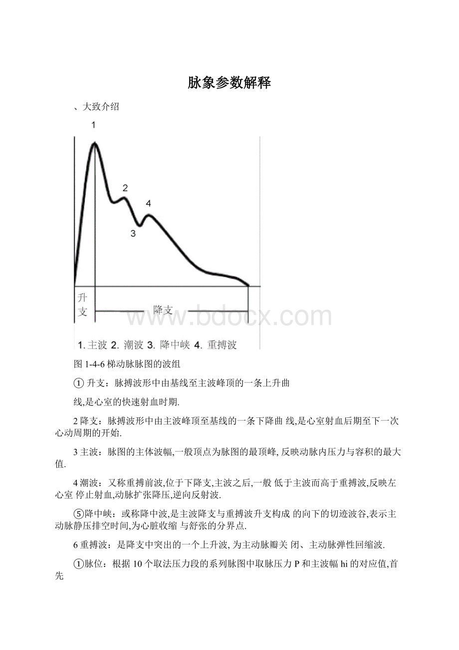 脉象参数解释.docx