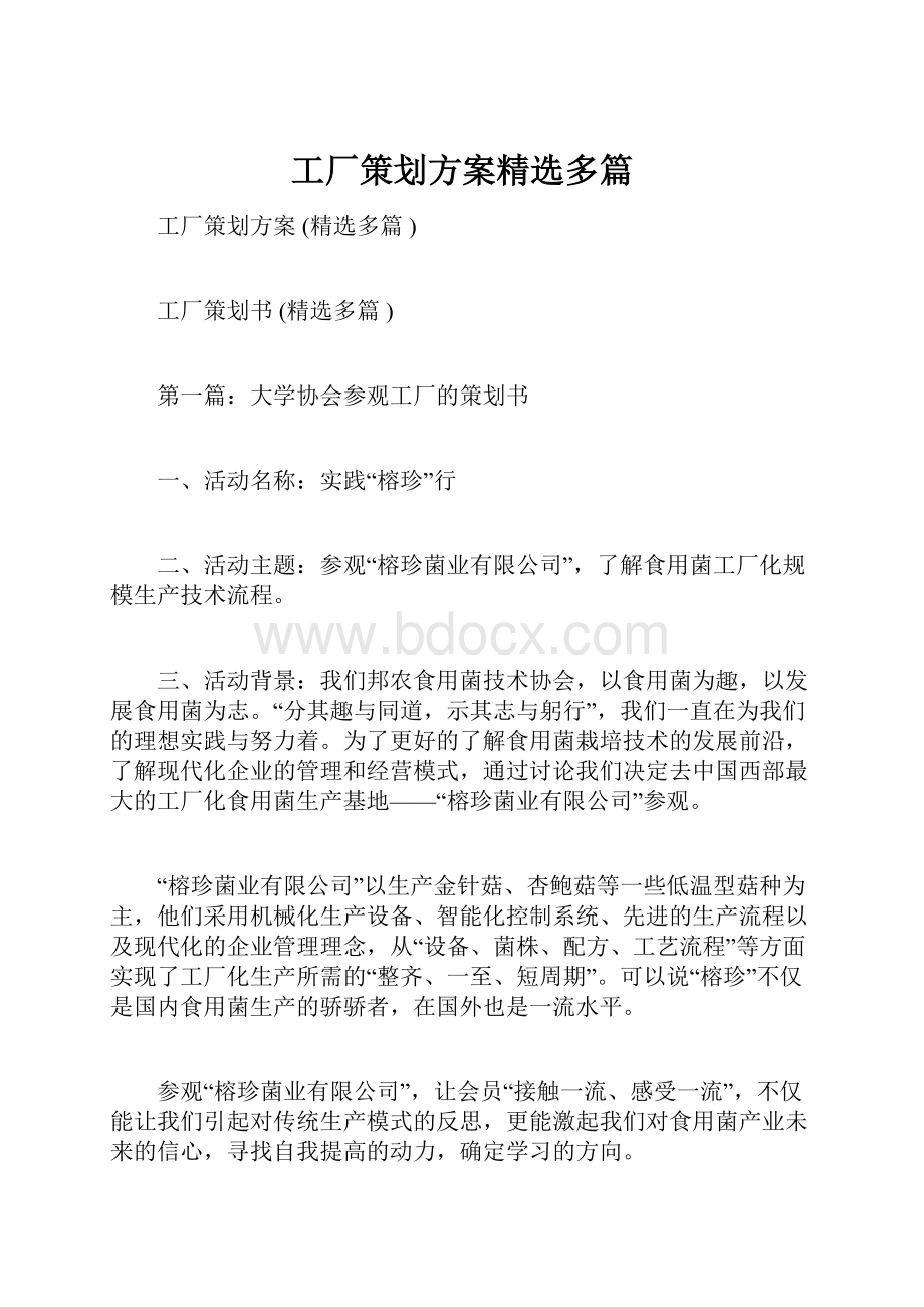 工厂策划方案精选多篇文档格式.docx