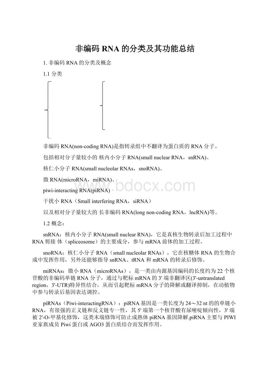 非编码RNA的分类及其功能总结Word文件下载.docx