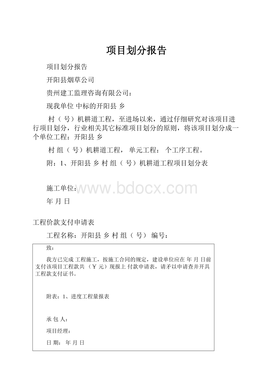 项目划分报告Word格式.docx_第1页