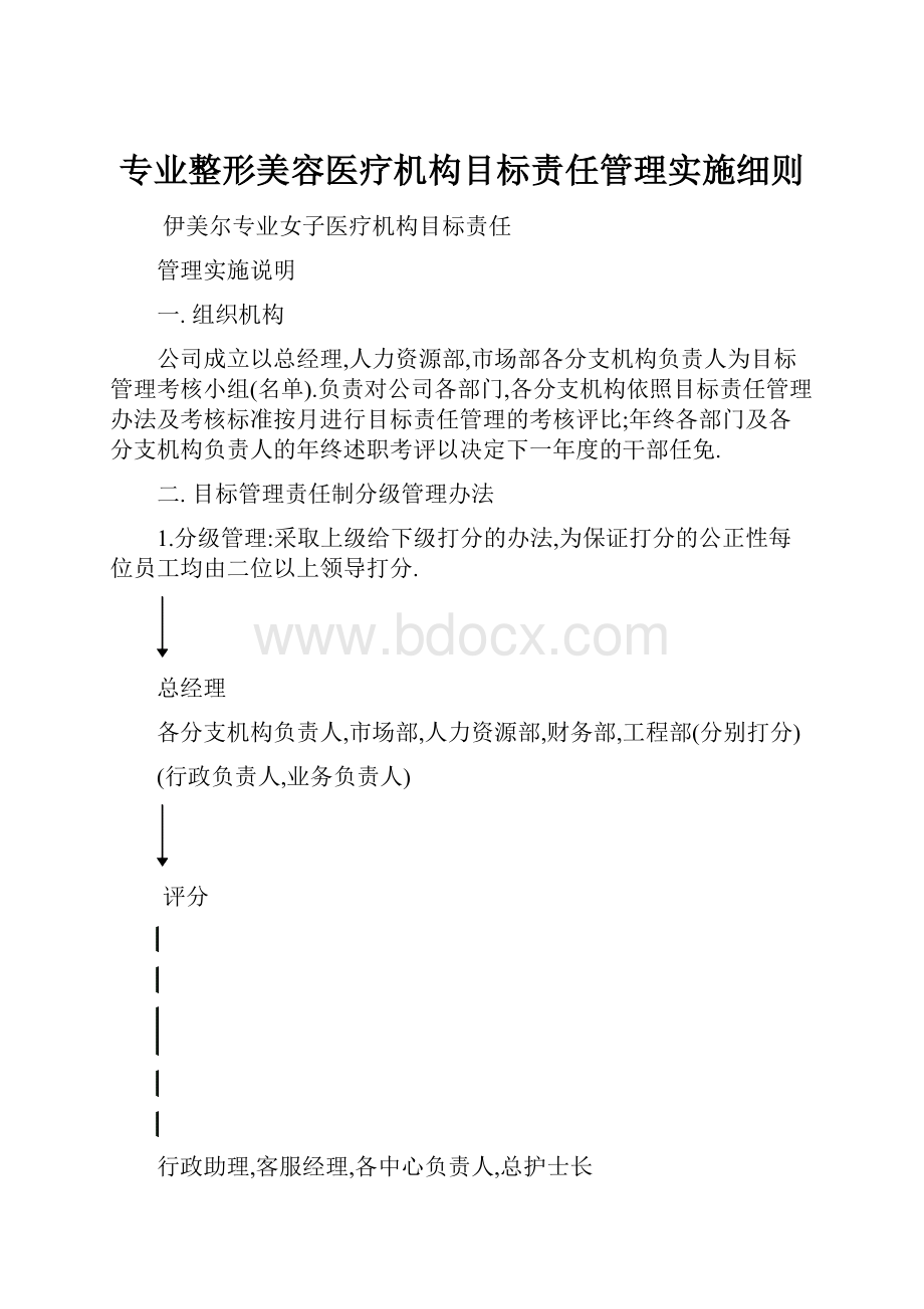 专业整形美容医疗机构目标责任管理实施细则.docx