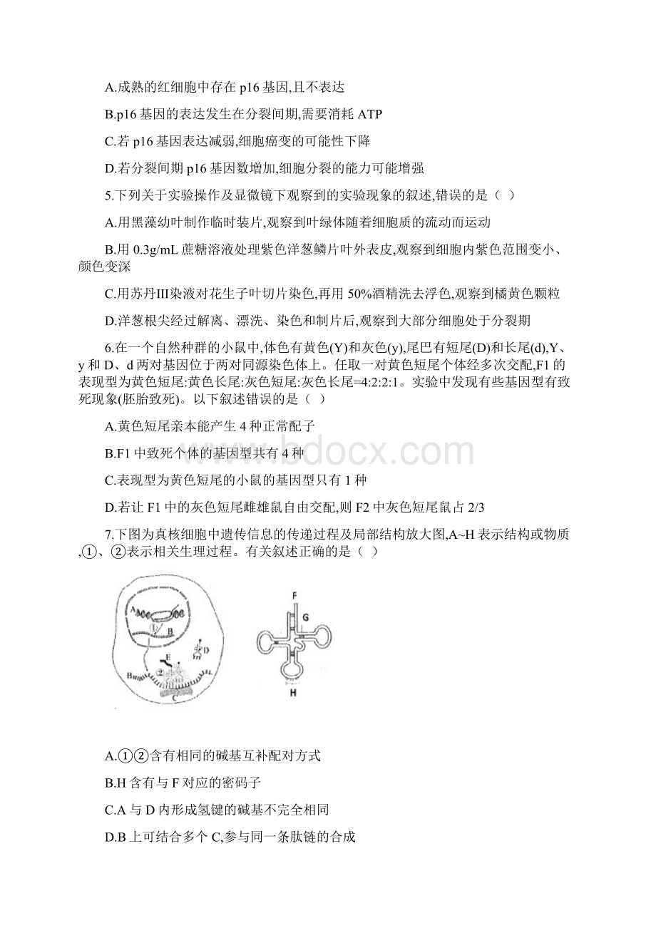 徐州市届高三上学期期中考试 生物试题含答案.docx_第2页