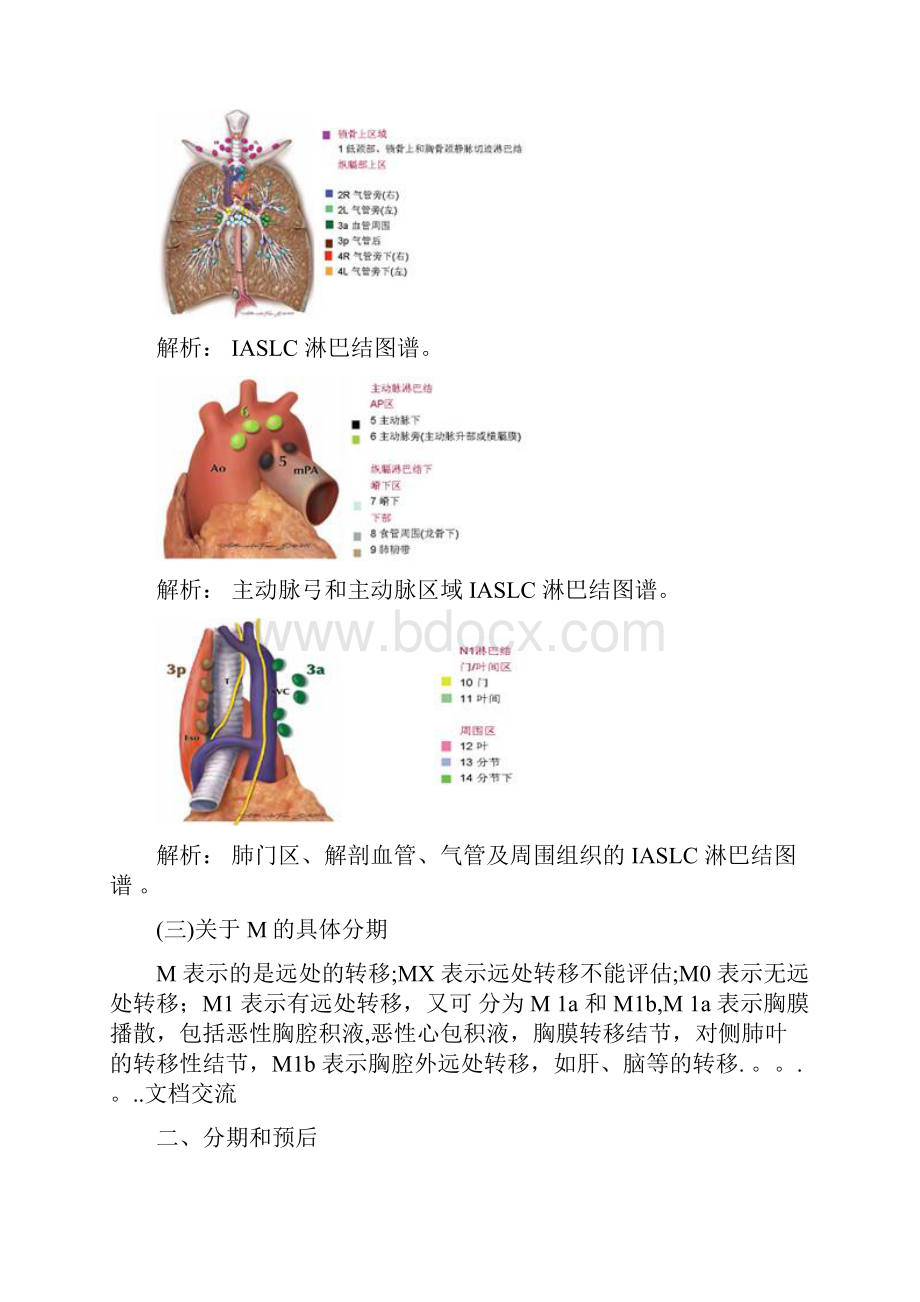 肺癌分期及预后精品课件.docx_第3页