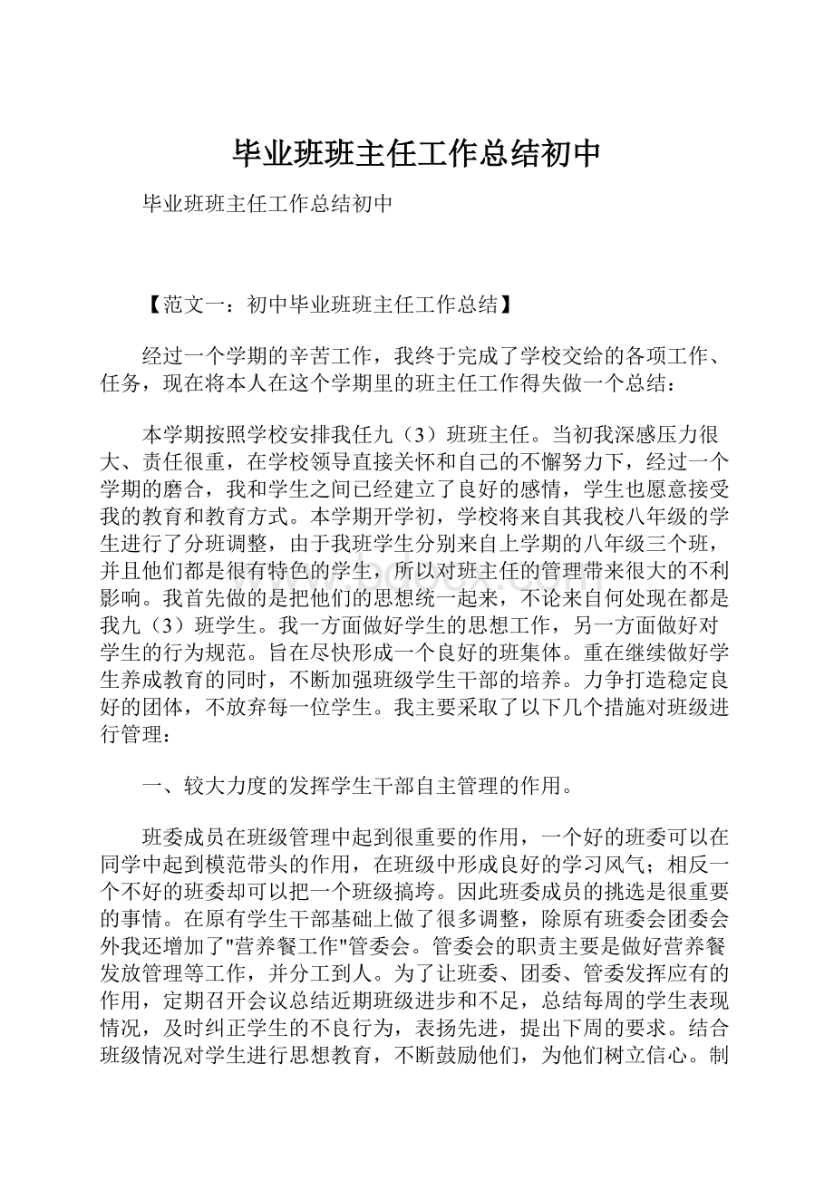 毕业班班主任工作总结初中.docx_第1页