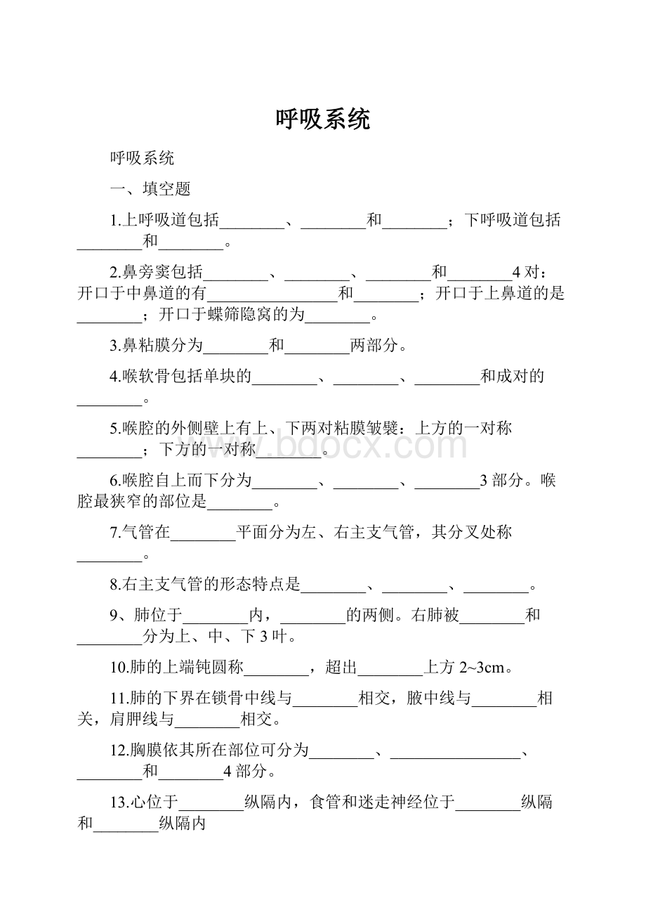 呼吸系统.docx