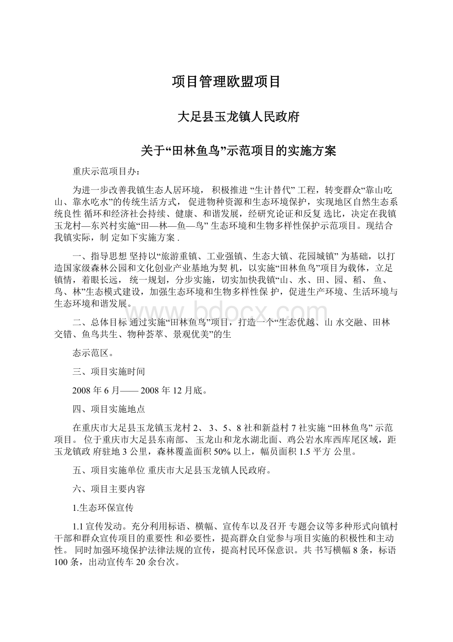 项目管理欧盟项目Word格式文档下载.docx_第1页