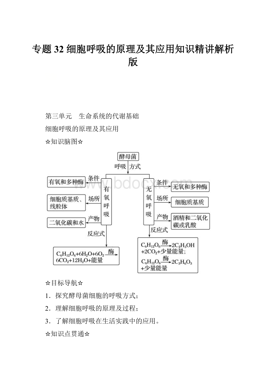 专题32 细胞呼吸的原理及其应用知识精讲解析版文档格式.docx