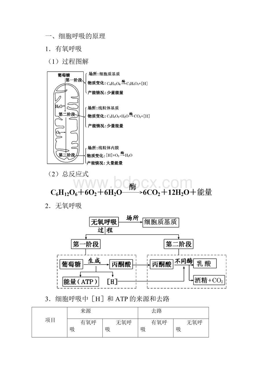 专题32 细胞呼吸的原理及其应用知识精讲解析版.docx_第2页