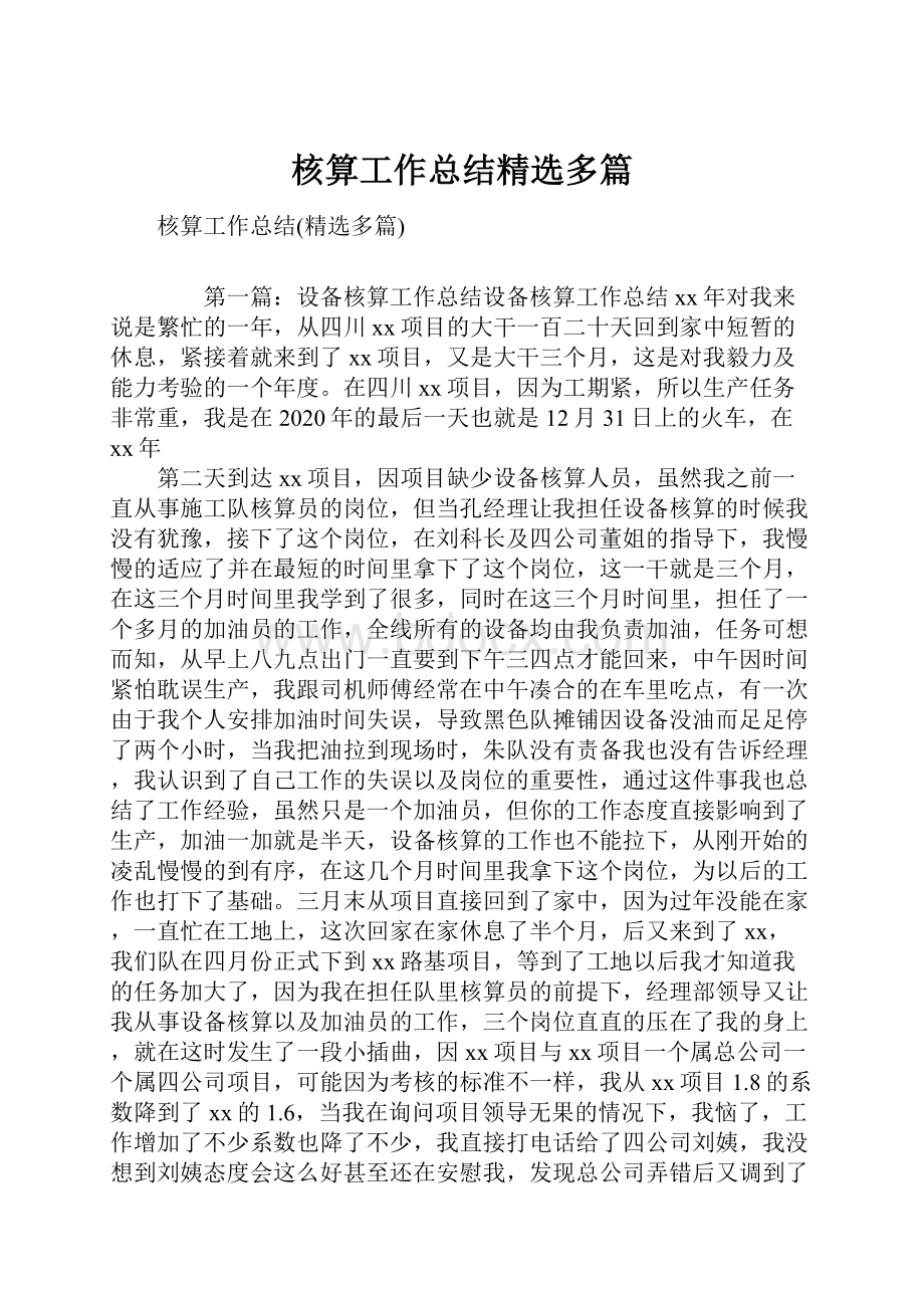 核算工作总结精选多篇文档格式.docx