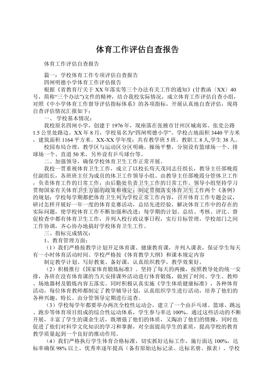 体育工作评估自查报告.docx_第1页