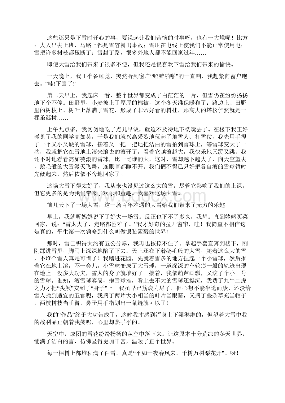 关于下雪的周记500字高中范文Word下载.docx_第2页