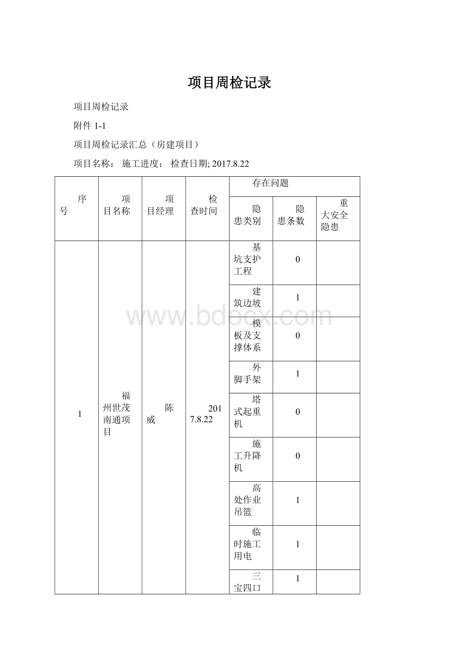 项目周检记录Word文件下载.docx