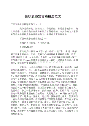 任职表态发言稿精选范文一.docx