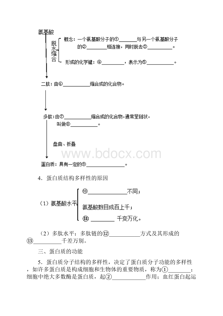 人教版学年高中生物专题22生命活动的主要承担着蛋白质试题必修1.docx_第2页