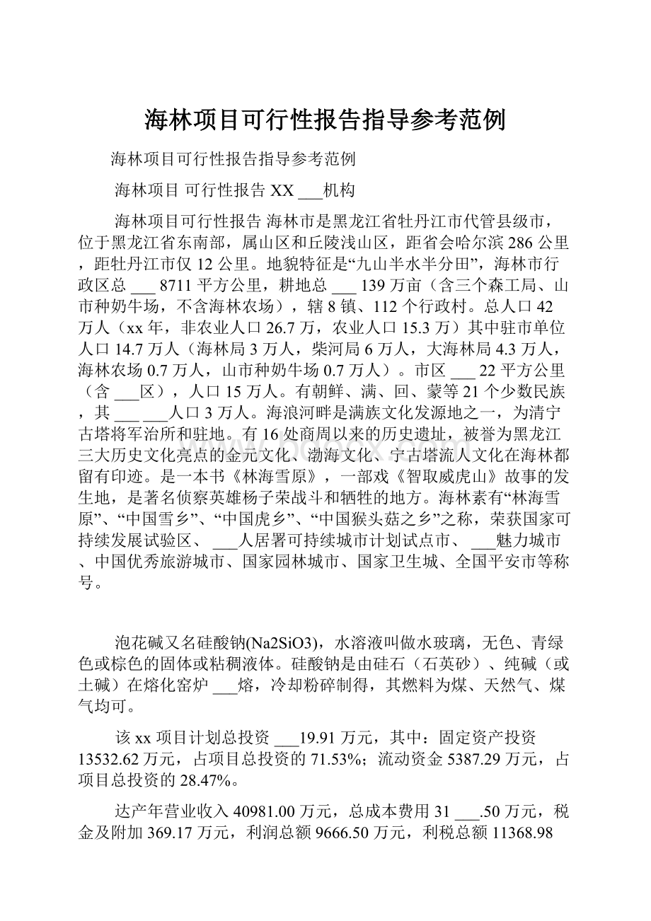 海林项目可行性报告指导参考范例.docx_第1页