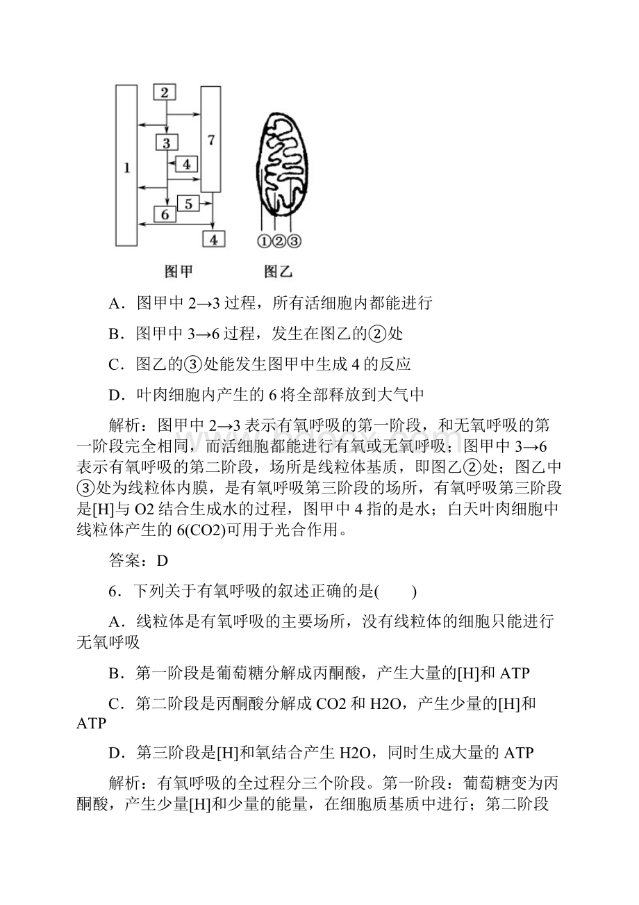 学年《红对勾讲与练》人教版生物必修1课时作业16ATP的主要来源细胞呼吸 Word版含答案Word文件下载.docx_第3页