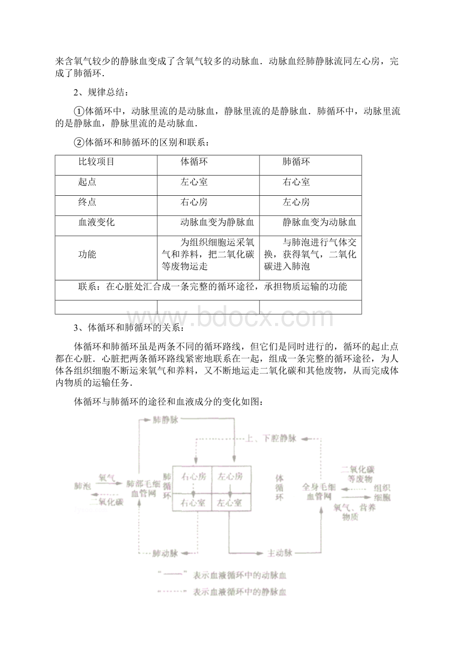 最新浙江中考科学人体内循环系统考点北师大版中考科学生物内循环系统血液循环心脏结构Word下载.docx_第3页