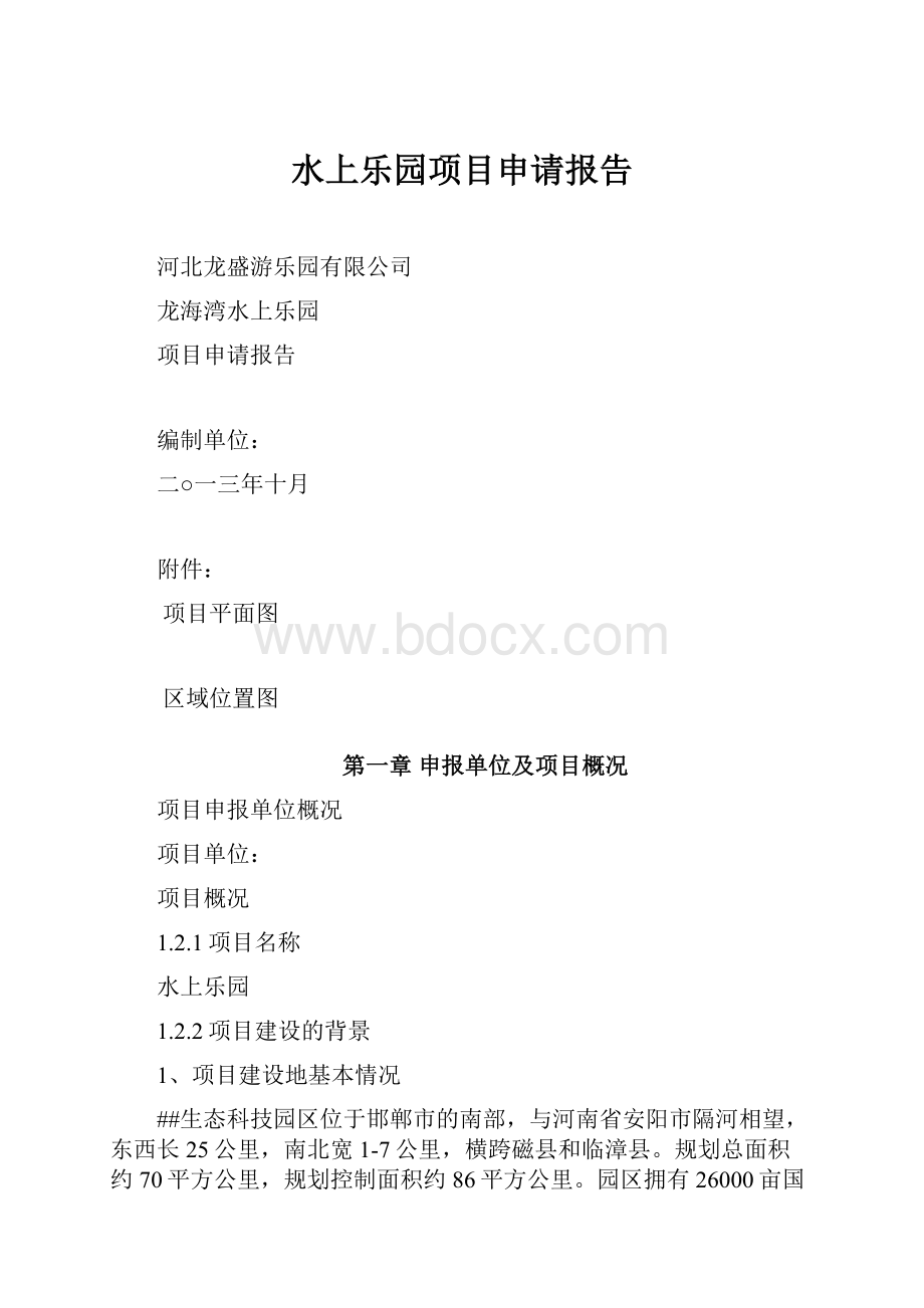 水上乐园项目申请报告.docx