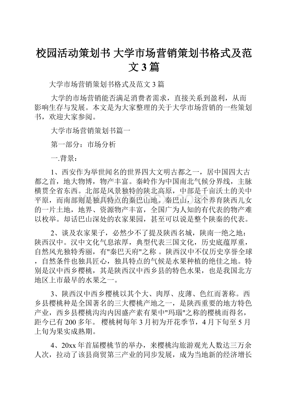 校园活动策划书 大学市场营销策划书格式及范文3篇Word格式文档下载.docx