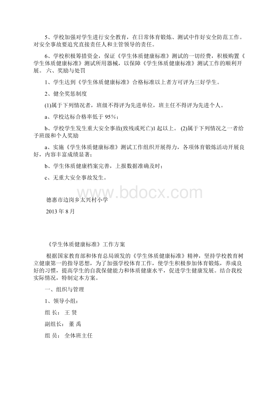 体质健康测试工作计划总结.docx_第3页