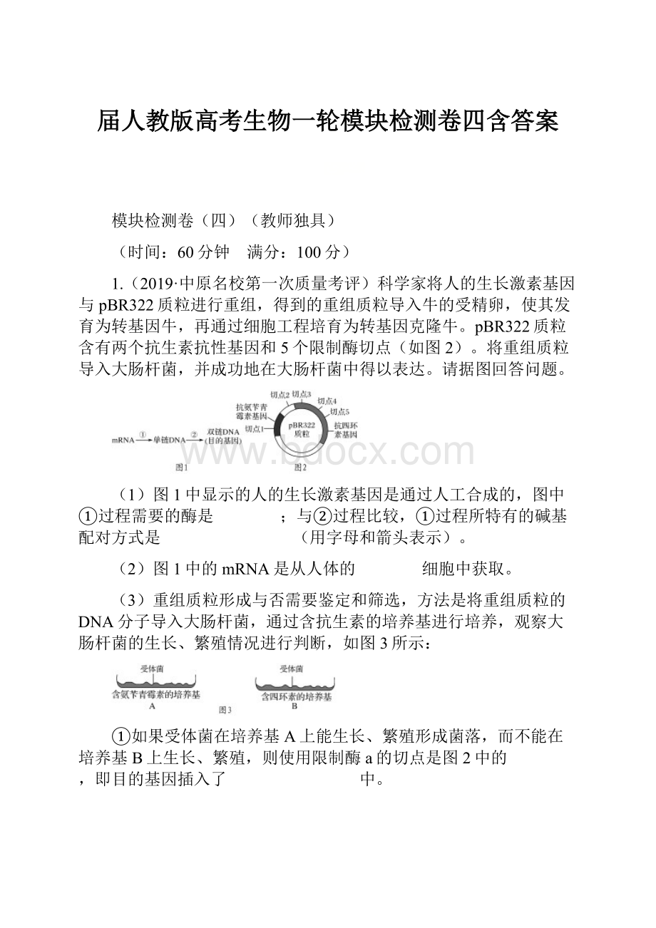 届人教版高考生物一轮模块检测卷四含答案.docx_第1页