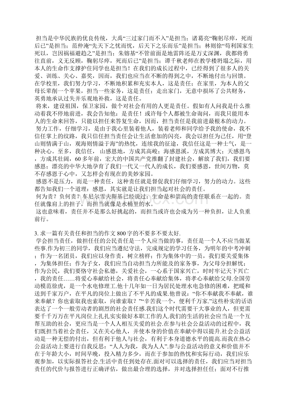 责任担当范文Word文档下载推荐.docx_第2页