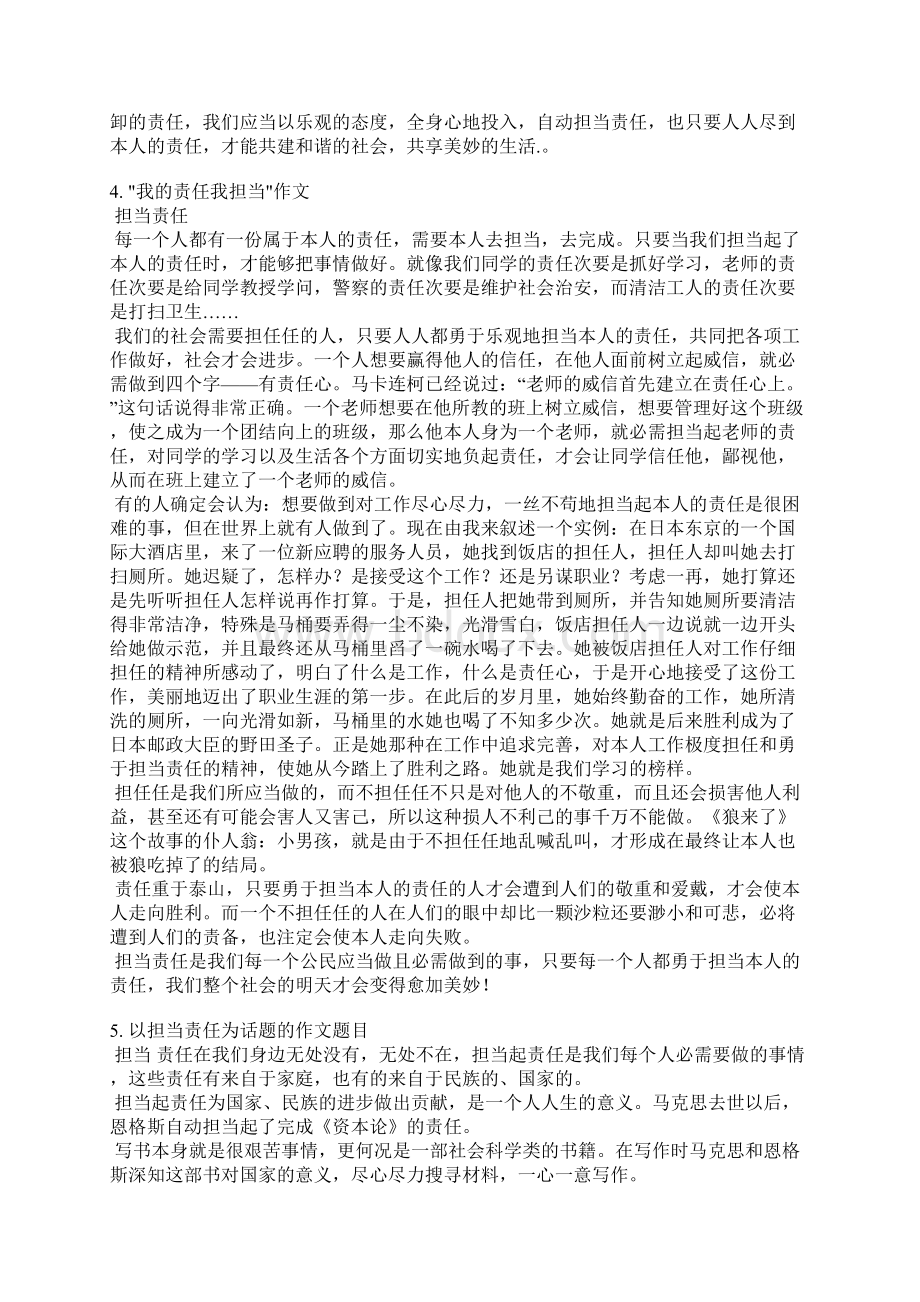 责任担当范文Word文档下载推荐.docx_第3页