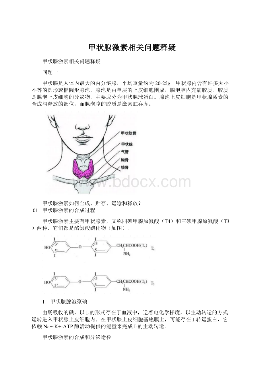 甲状腺激素相关问题释疑.docx_第1页