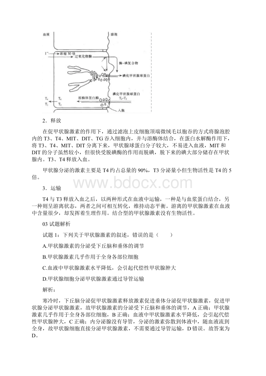 甲状腺激素相关问题释疑.docx_第3页