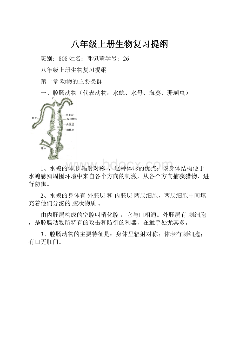 八年级上册生物复习提纲.docx