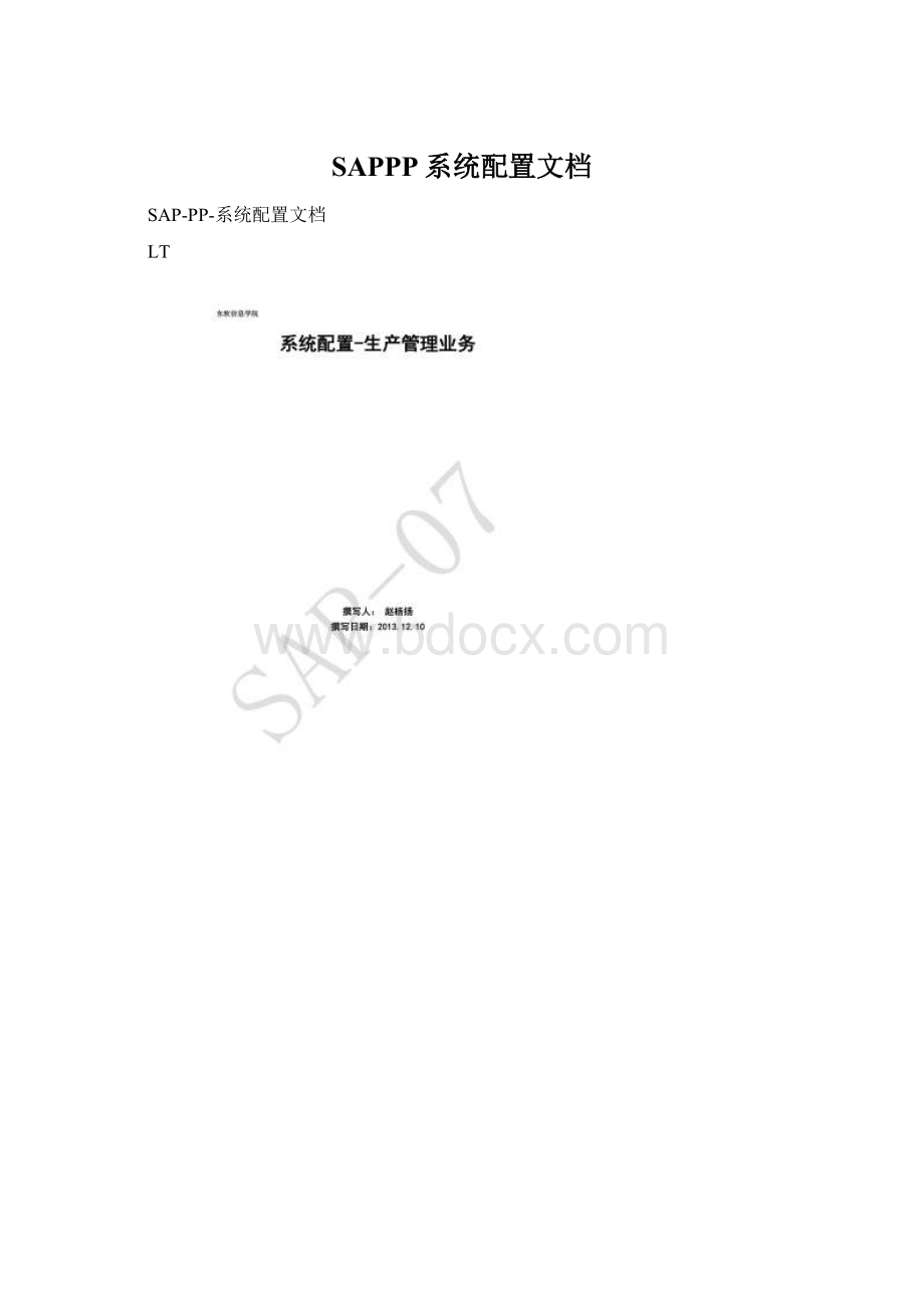 SAPPP系统配置文档.docx_第1页