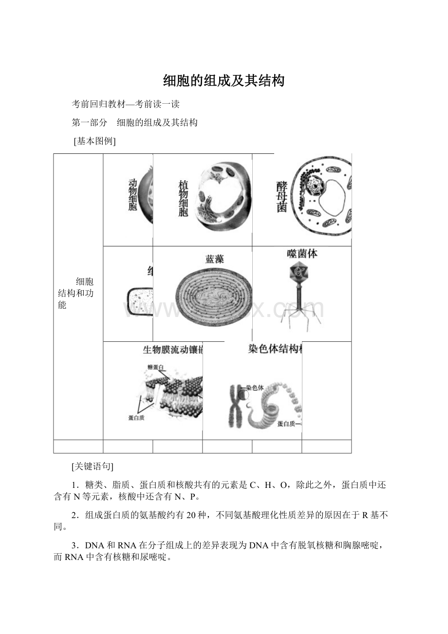 细胞的组成及其结构.docx_第1页