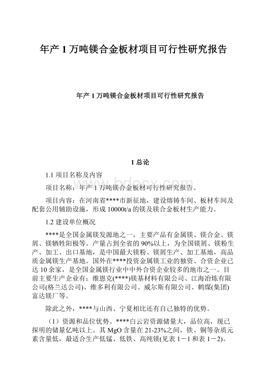 年产1万吨镁合金板材项目可行性研究报告.docx