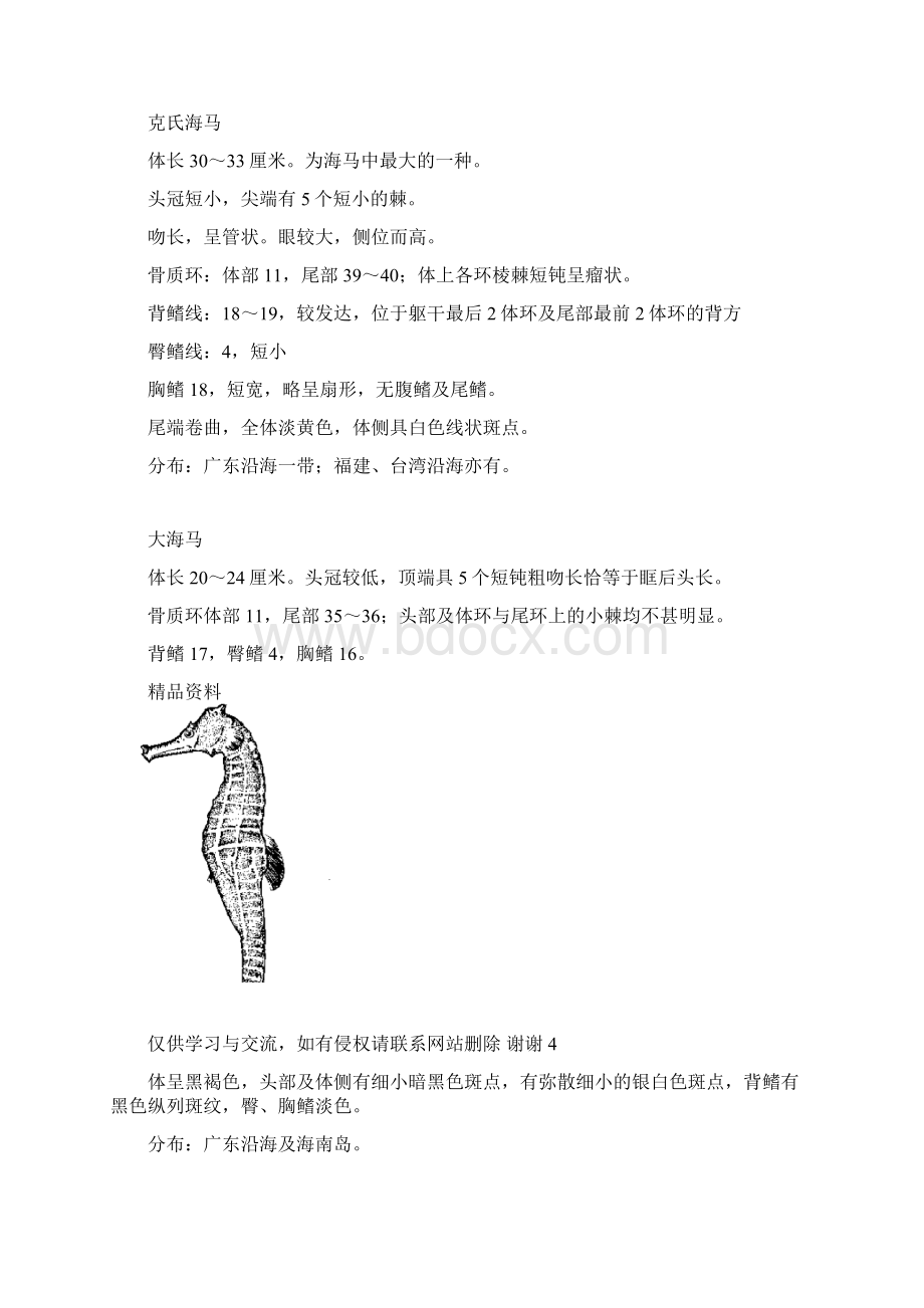 41海马的养殖讲课讲稿.docx_第2页