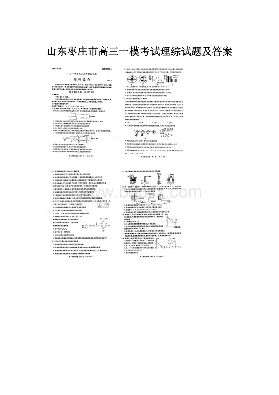 山东枣庄市高三一模考试理综试题及答案.docx_第1页