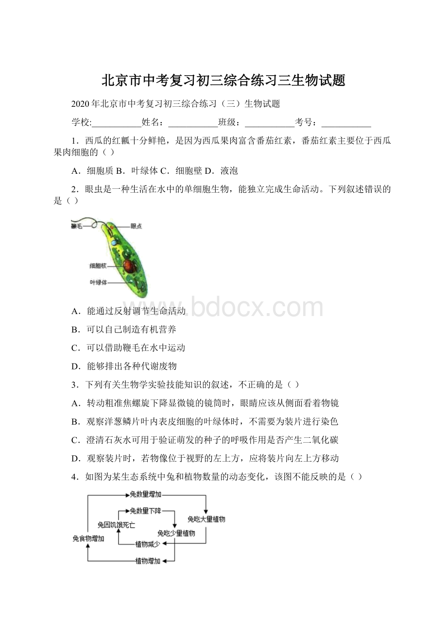 北京市中考复习初三综合练习三生物试题Word文件下载.docx