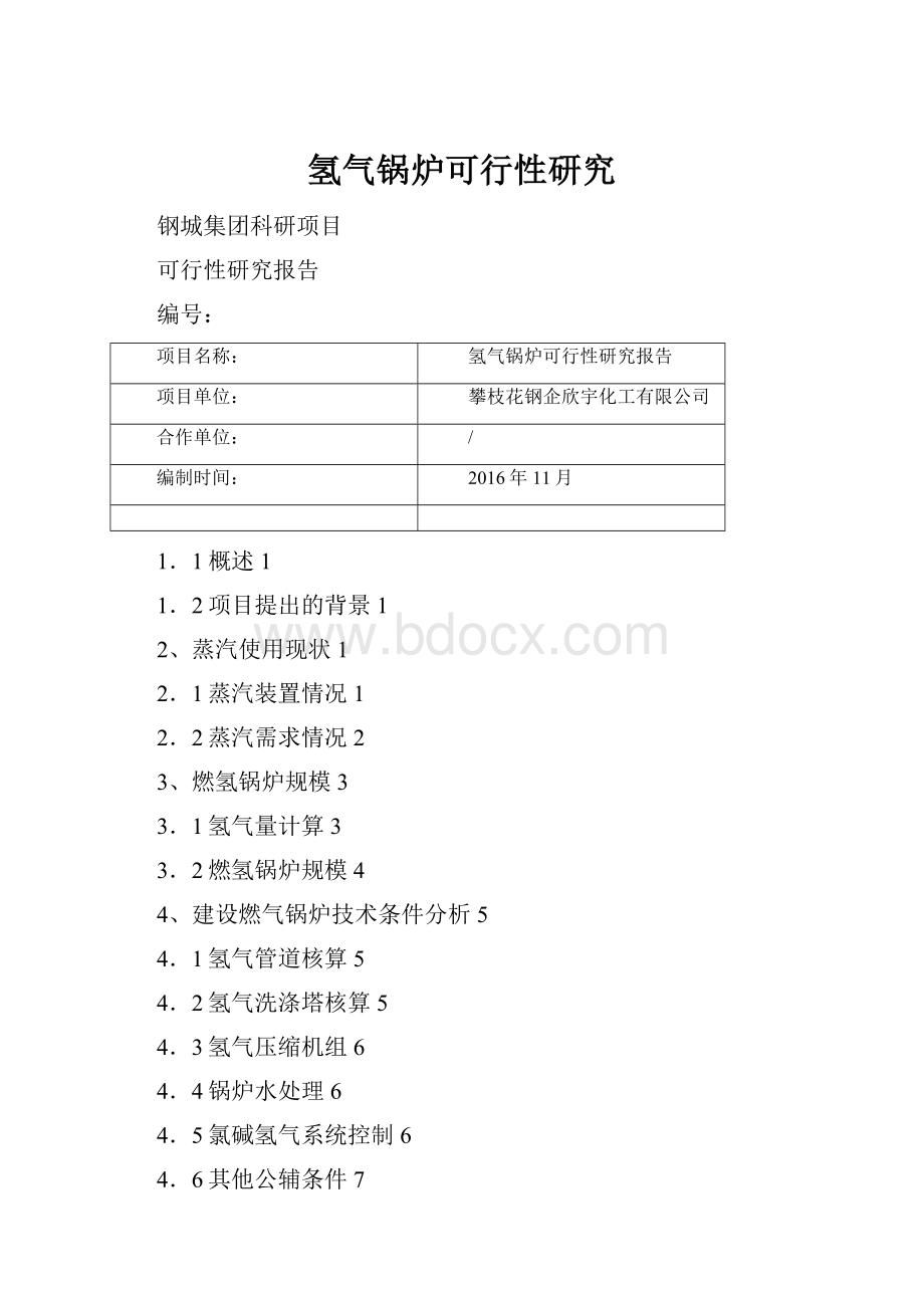 氢气锅炉可行性研究.docx_第1页