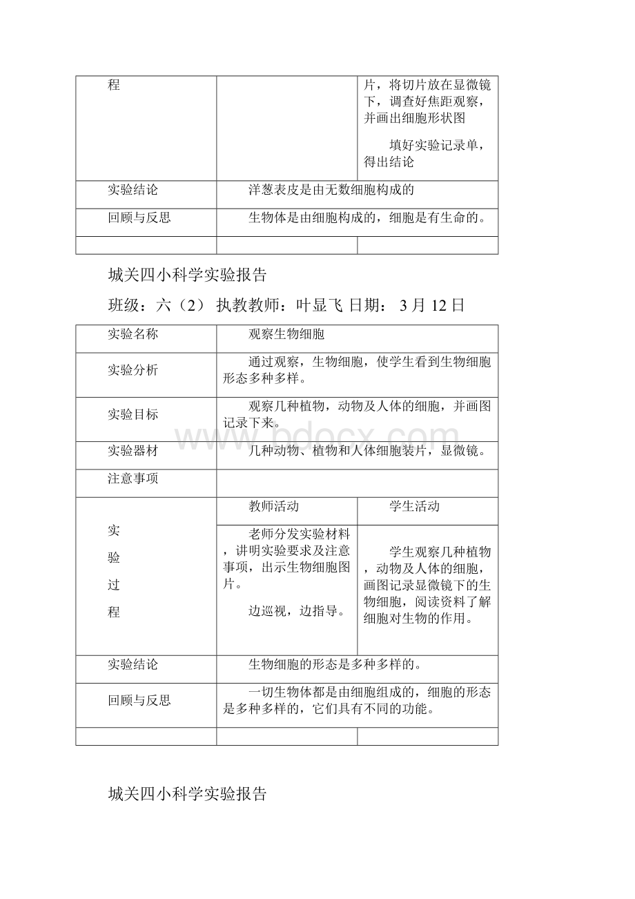 最新六年级下册科学实验报告单.docx_第3页