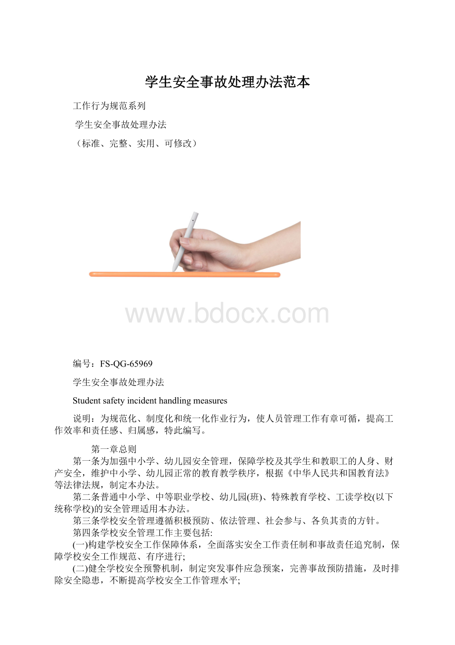 学生安全事故处理办法范本文档格式.docx