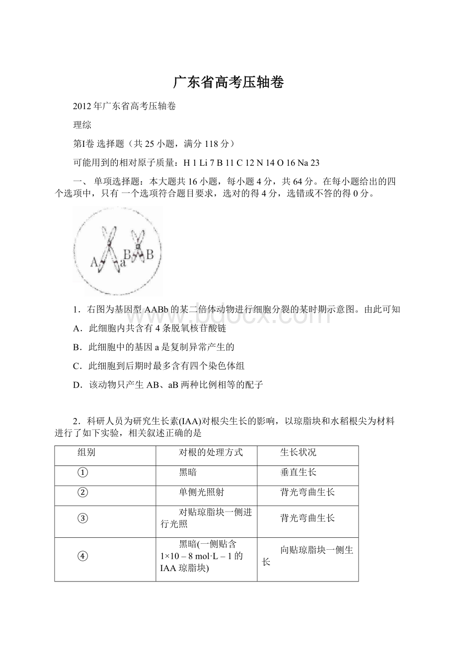 广东省高考压轴卷Word下载.docx