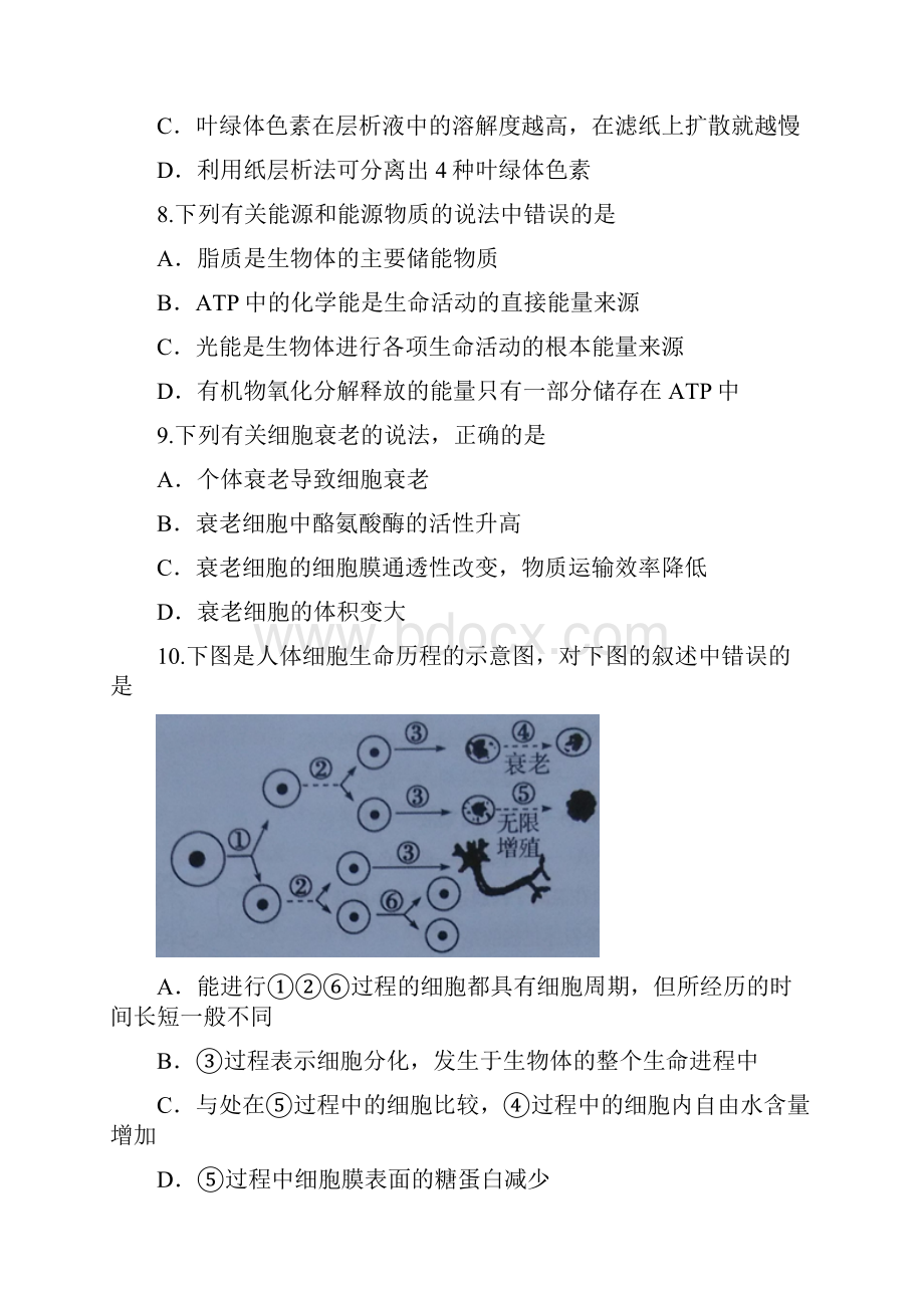 学年广东省汕头市高一下学期期末教学质量监测生物试题word.docx_第3页