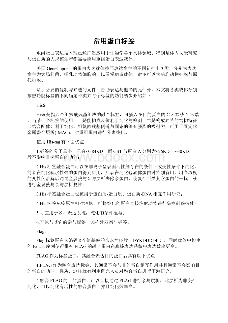 常用蛋白标签Word文档格式.docx