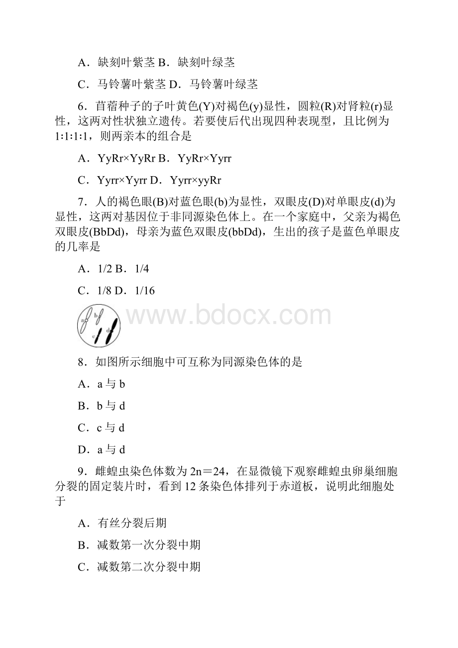 湖南师大附中学年高一下学期末考试 生物 Word版含答案.docx_第3页