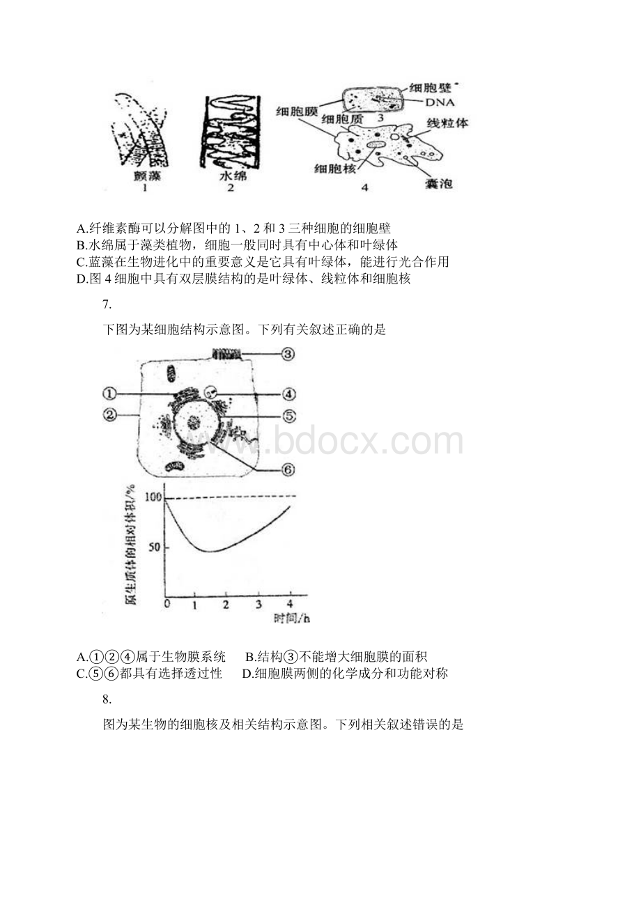 届高三生物一轮专项复习其他几种细胞器的结构与功能综合检测Word文件下载.docx_第2页