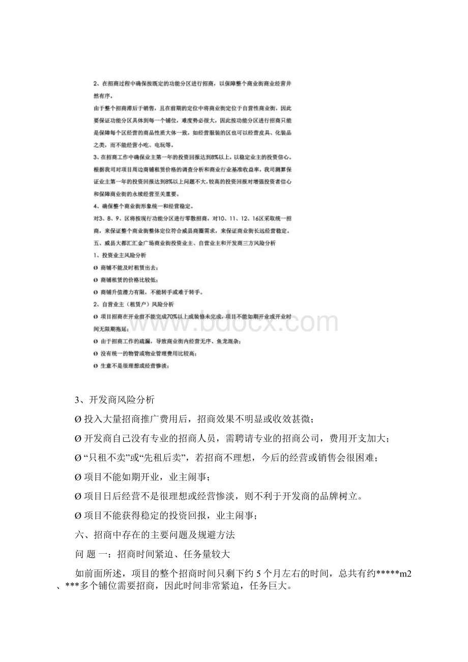 商业街整体招商方案.docx_第2页